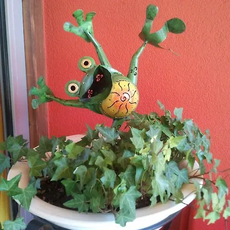 فندق Garni Simplon 2*